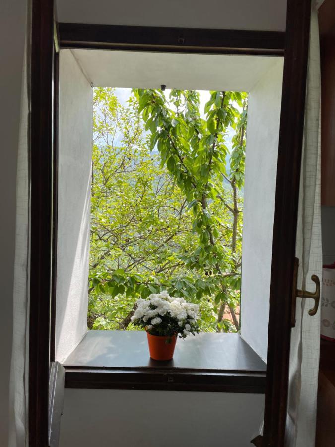 Casa Di Nonno Meme Citra 008035-Lt-0018 Apartamento Andagna Exterior foto